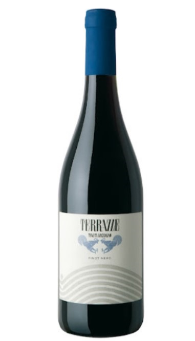 Laatste fles! - Terrazze Pinot Nero 2021