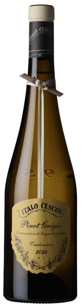 Il Tralcetto Pinot Grigio 2024