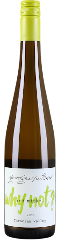 Why Not? Red Misket 2024