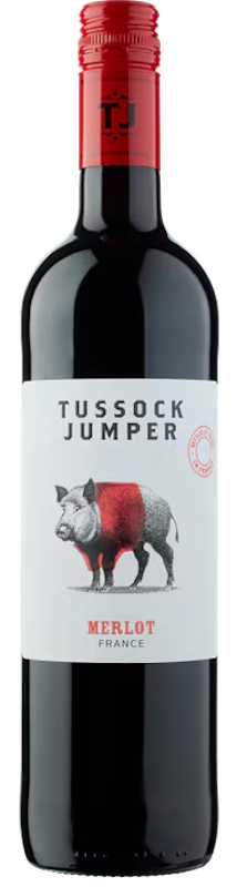 Tussock Jumper Merlot 2023