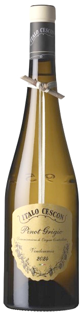 Il Tralcetto Pinot Grigio 2024